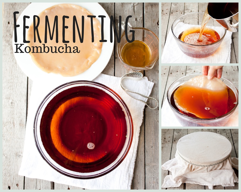 fermenting