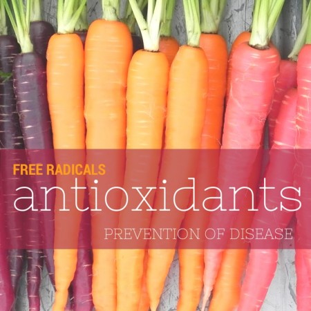 Antioxidants | simplerootswellness.com