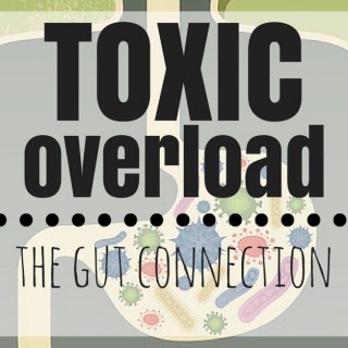 Toxic Overload - The Gut Connection | simplerootswellness.com
