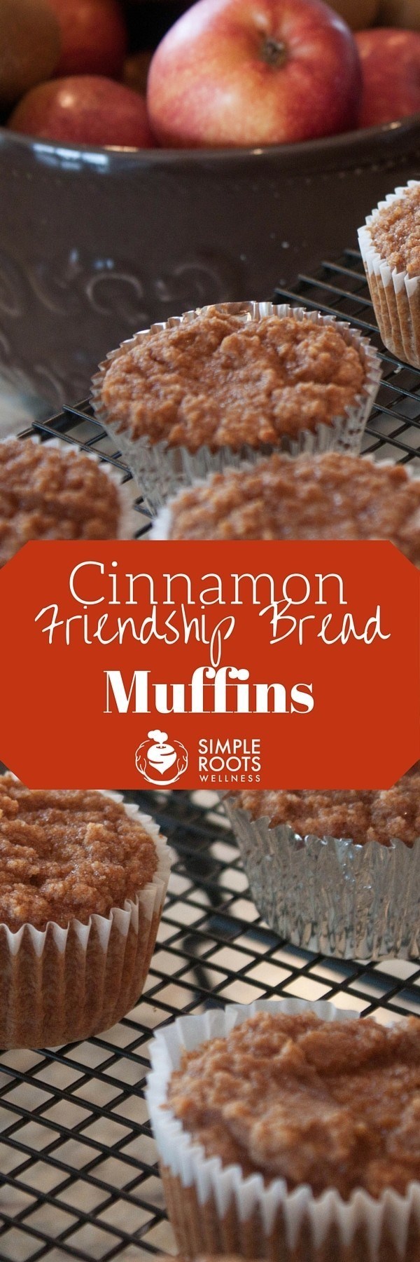 Cinnamon Friendship Bread Muffins are the quickest way to get the taste of amish friendship bread.