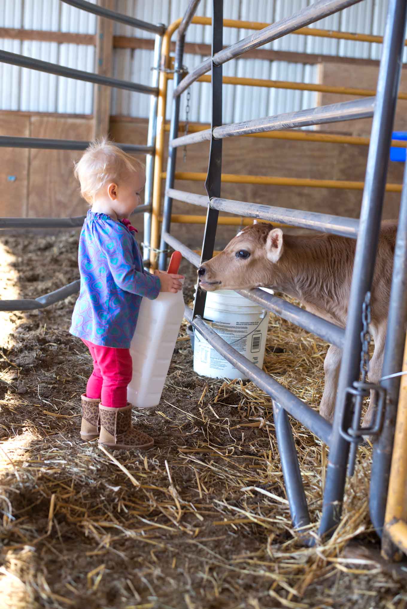 Life on an Iowa Farm. How to do modern homesteading. 