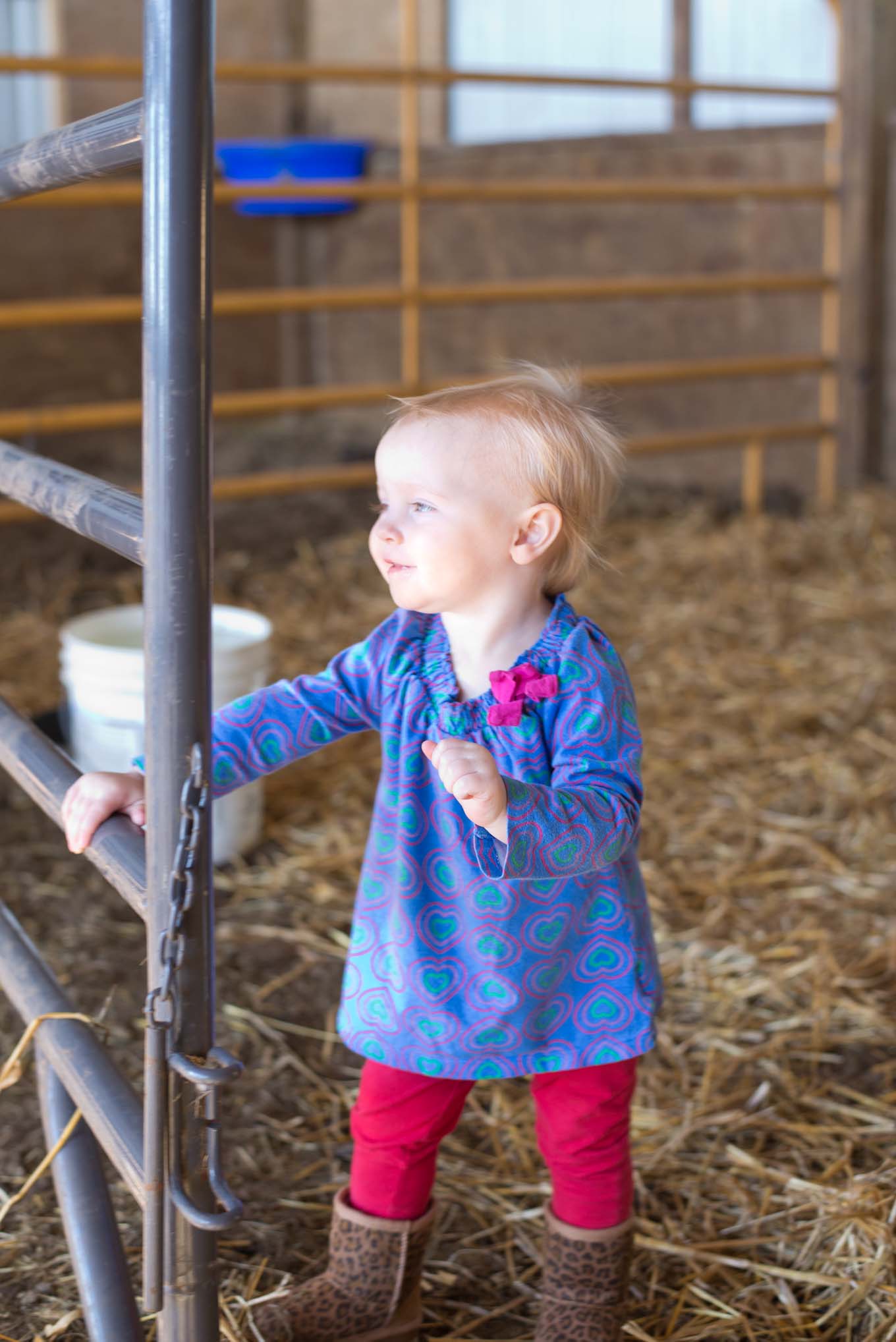 Life on an Iowa Farm. How to do modern homesteading. 